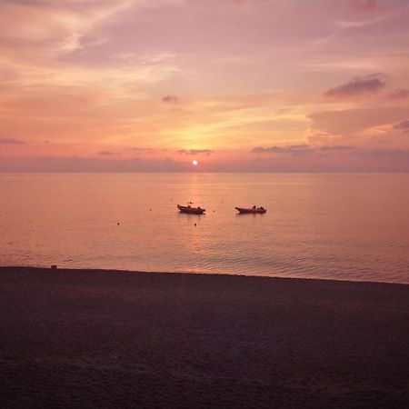 Camping B&B Gioiosa 焦约萨马雷阿 外观 照片