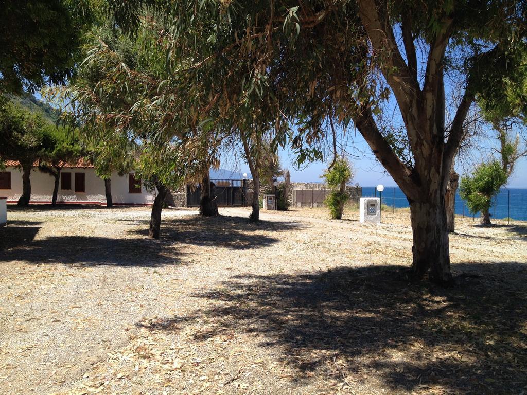 Camping B&B Gioiosa 焦约萨马雷阿 外观 照片
