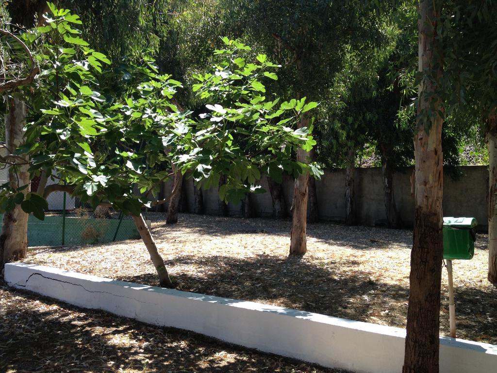 Camping B&B Gioiosa 焦约萨马雷阿 外观 照片