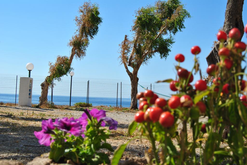 Camping B&B Gioiosa 焦约萨马雷阿 外观 照片