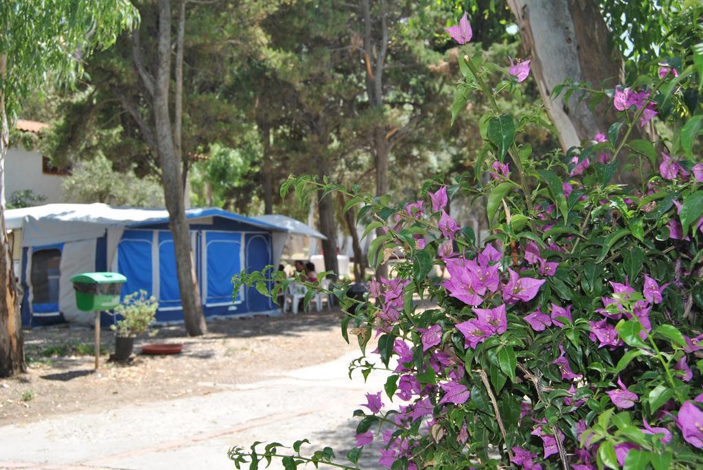 Camping B&B Gioiosa 焦约萨马雷阿 外观 照片